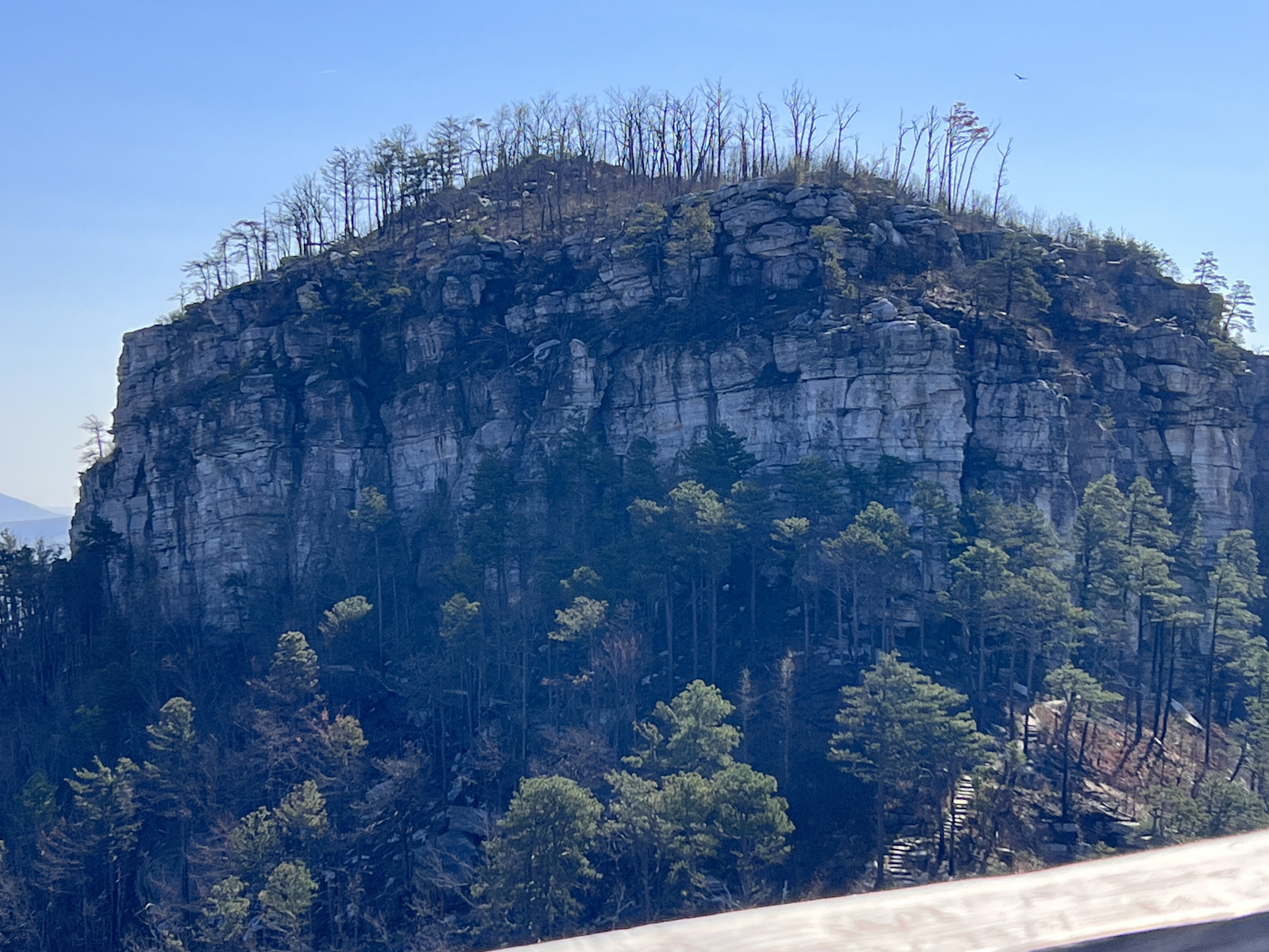 ./2023/05 - Toni Adventures/IMG_3030.jpg